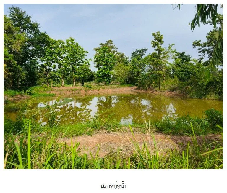 บ้านเดี่ยว เขมราฐ อุบลราชธานี