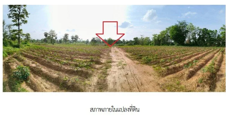 บ้านเดี่ยว เขมราฐ อุบลราชธานี