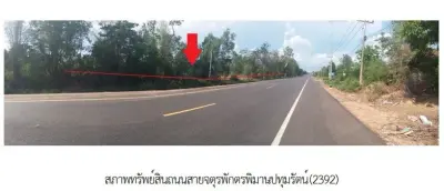 ที่ดินว่างเปล่า จตุรพักตรพิมาน ร้อยเอ็ด รูปที่ 1