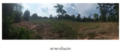 ที่ดินว่างเปล่า จตุรพักตรพิมาน ร้อยเอ็ด รูปที่ 3