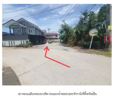 บ้านเดี่ยว โครงการ ปีกไม้ 1 นนทบุรี รูปที่ 1
