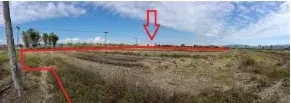 ที่ดินว่างเปล่า เชียงของ เชียงราย รูปที่ 3