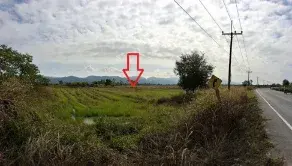 ที่ดินว่างเปล่า เชียงของ เชียงราย รูปที่ 4
