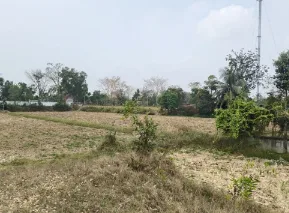 ที่ดินว่างเปล่า โครงการ ชุมชนบ้านตะโนน สุรินทร์