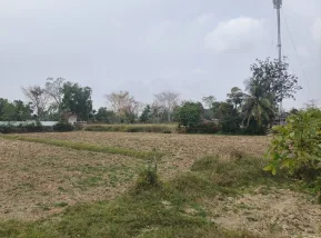 ที่ดินว่างเปล่า โครงการ ชุมชนบ้านตะโนน สุรินทร์