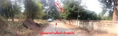 บ้านเดี่ยว เมืองยโสธร รูปที่ 2