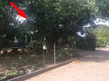 บ้านเดี่ยว เมืองยโสธร รูปที่ 4
