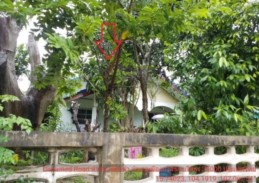 บ้านเดี่ยว เมืองยโสธร