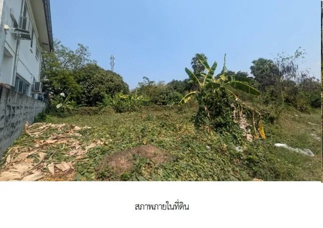 ที่ดินว่างเปล่า