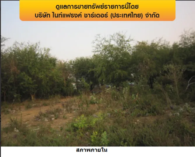 ที่ดินว่างเปล่า คลองหลวง-ปทุมธานี