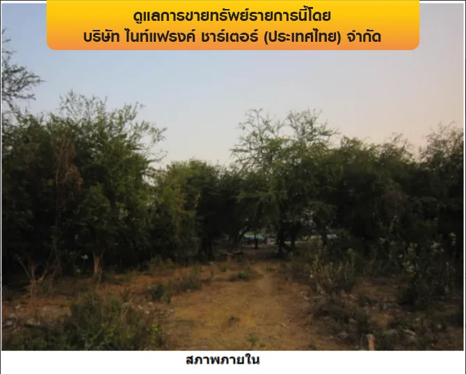 ที่ดินว่างเปล่า คลองหลวง-ปทุมธานี
