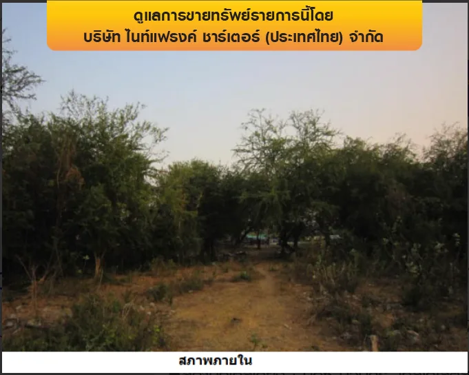 ที่ดินว่างเปล่า คลองหลวง-ปทุมธานี