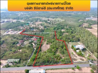 ที่ดินว่างเปล่า ตรงข้าม สนามกอล์ฟฟินิกซ์ บางละมุง-ชลบุรี รูปที่ 4