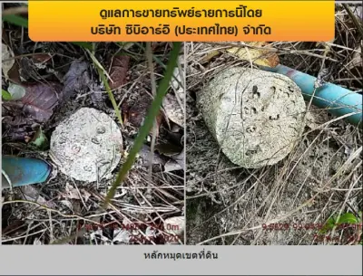ที่ดินว่างเปล่า เกาะสมุย-สุราษฎร์ธานี รูปที่ 2