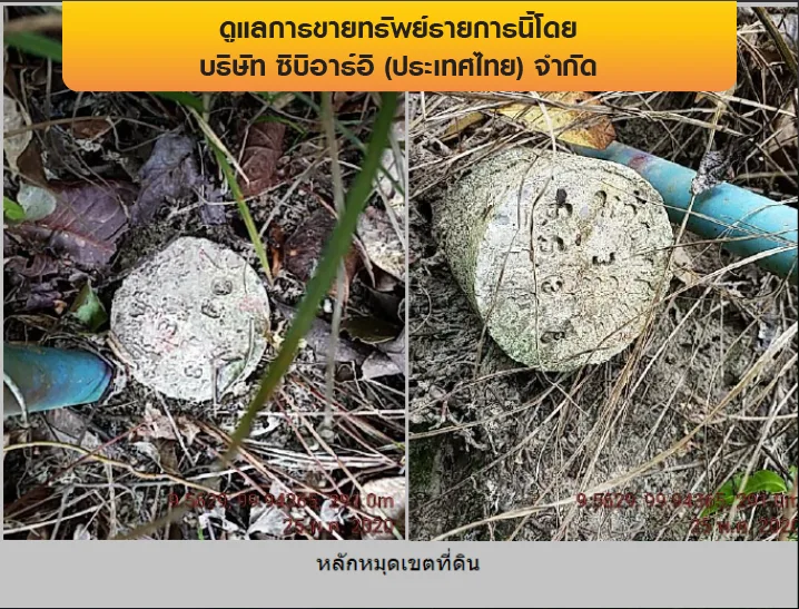 ที่ดินว่างเปล่า เกาะสมุย-สุราษฎร์ธานี