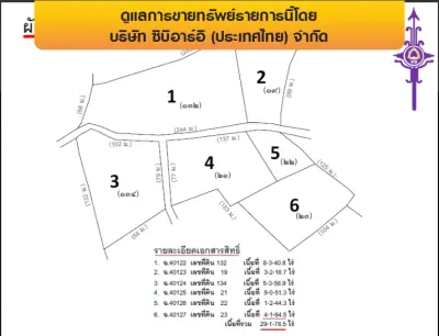 ที่ดินว่างเปล่า เกาะสมุย-สุราษฎร์ธานี รูปที่ 3
