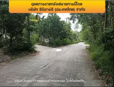 ที่ดินว่างเปล่า เกาะสมุย-สุราษฎร์ธานี รูปที่ 4