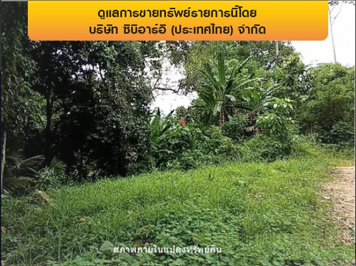 ที่ดินว่างเปล่า เกาะสมุย-สุราษฎร์ธานี
