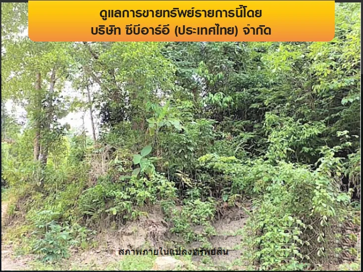 ที่ดินว่างเปล่า เกาะสมุย-สุราษฎร์ธานี