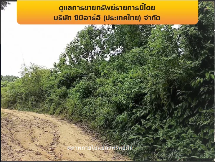 ที่ดินว่างเปล่า เกาะสมุย-สุราษฎร์ธานี