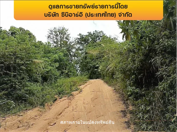 ที่ดินว่างเปล่า เกาะสมุย-สุราษฎร์ธานี