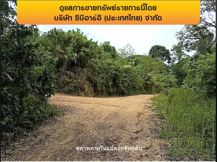 ที่ดินว่างเปล่า เกาะสมุย-สุราษฎร์ธานี