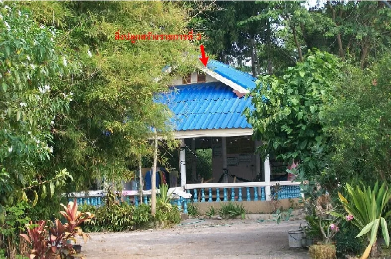บ้านเดี่ยว เมืองกาฬสินธุ์