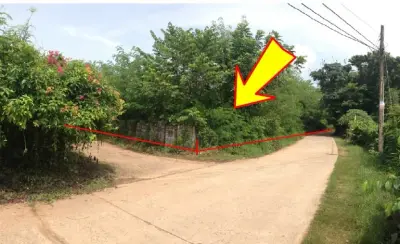 ที่ดินว่างเปล่า ยางตลาด-กาฬสินธุ์ รูปที่ 2