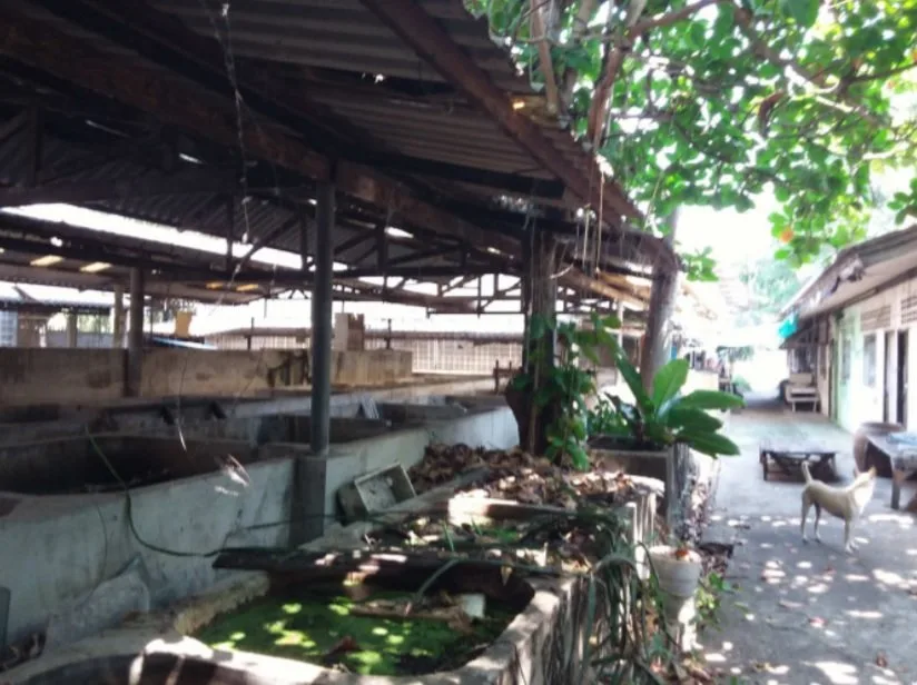 โกดัง ธัญบุรี-ปทุมธานี