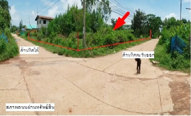 ที่ดินว่างเปล่า พังโคน-สกลนคร