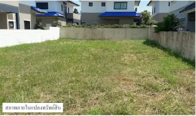 ที่ดินว่างเปล่า บางปะกง-ฉะเชิงเทรา รูปที่ 1