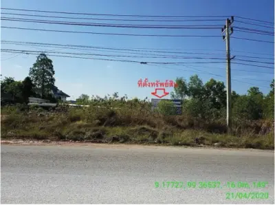 ที่ดินว่างเปล่า เมืองสุราษฎร์ธานี รูปที่ 1