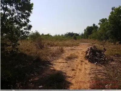ที่ดินว่างเปล่า เมืองสุราษฎร์ธานี รูปที่ 2