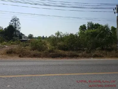 ที่ดินว่างเปล่า เมืองสุราษฎร์ธานี รูปที่ 3