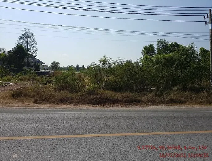 ที่ดินว่างเปล่า เมืองสุราษฎร์ธานี