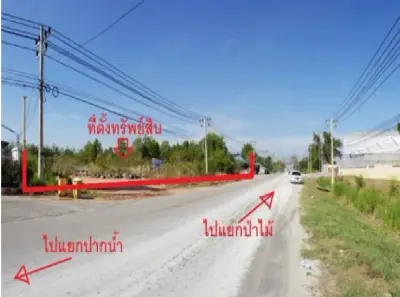ที่ดินว่างเปล่า เมืองสุราษฎร์ธานี รูปที่ 4