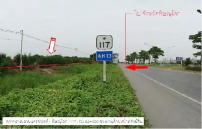 ที่ดินว่างเปล่า โพธิ์ประทับช้าง-พิจิตร รูปที่ 1