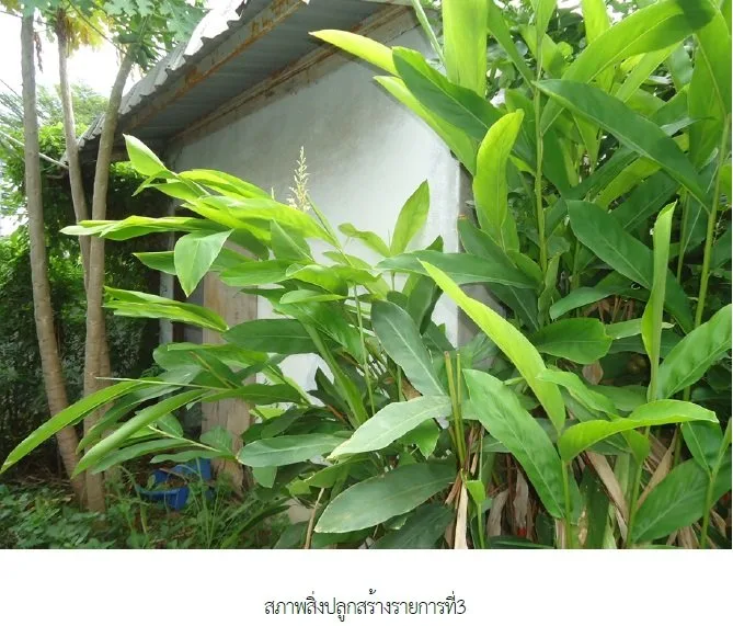 อาคารสำนักงาน บ้านสร้าง-ปราจีนบุรี