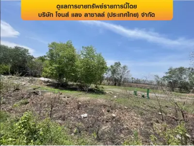 ที่ดินว่างเปล่า รูปที่ 4