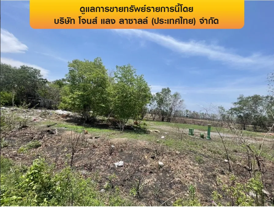 ที่ดินว่างเปล่า