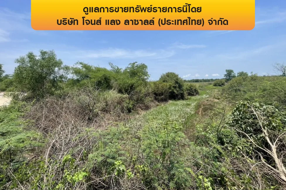 ที่ดินว่างเปล่า