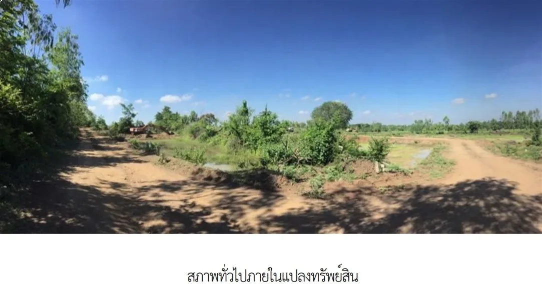ที่ดินว่างเปล่า เมืองบุรีรัมย์
