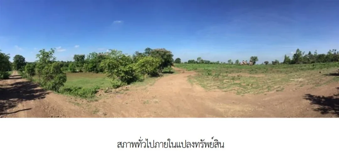 ที่ดินว่างเปล่า เมืองบุรีรัมย์