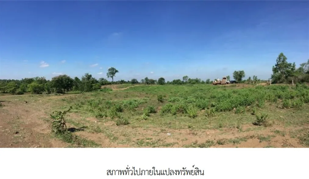 ที่ดินว่างเปล่า เมืองบุรีรัมย์