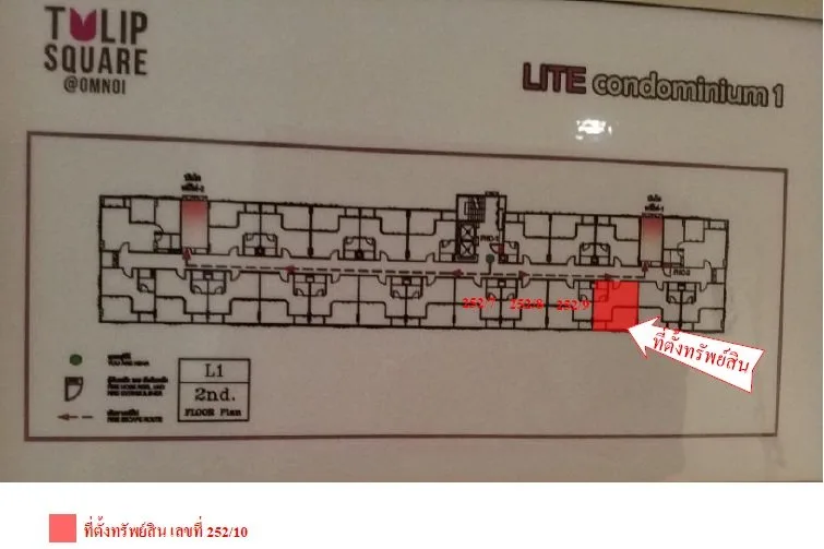 ห้องชุด ทิวลิปไลท์ คอนโดมิเนียม [ชั้น 2 อาคาร 1]