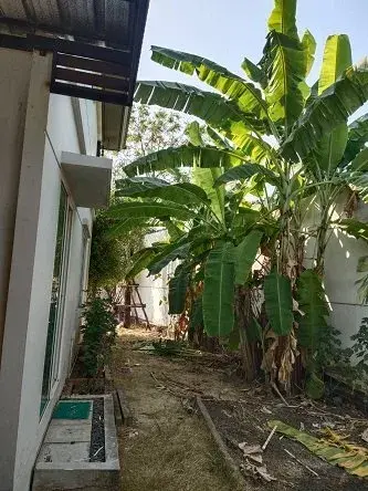บ้านเดี่ยว พฤกษ์ลดา เพชรเกษม สาย4 กระทุ่มแบน-สมุทรสาคร รูปที่ 4