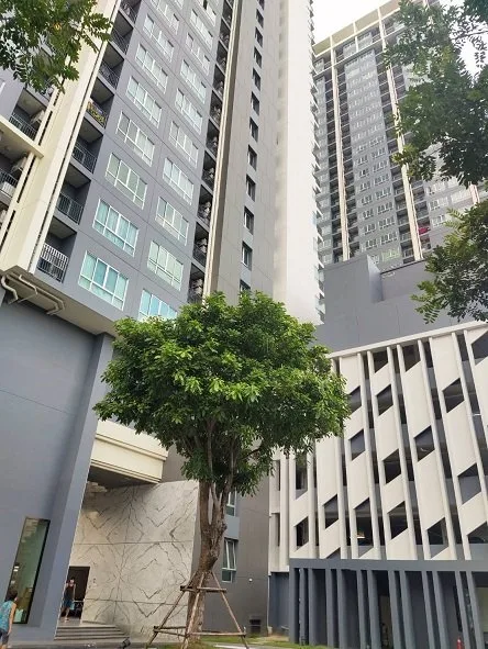 ห้องชุด โพรดิจี้ เอ็มอาร์ที บางแค [ชั้น 19 อาคาร A]