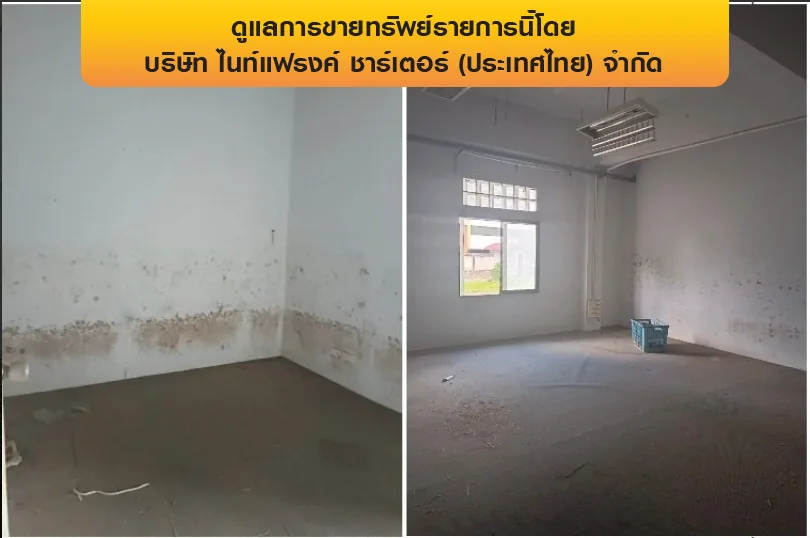 อาคารสำนักงาน หาดใหญ่-สงขลา