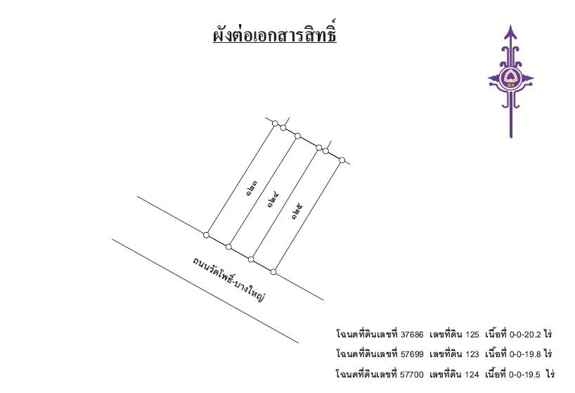 อาคารพาณิชย์ เมืองสุราษฎร์ธานี