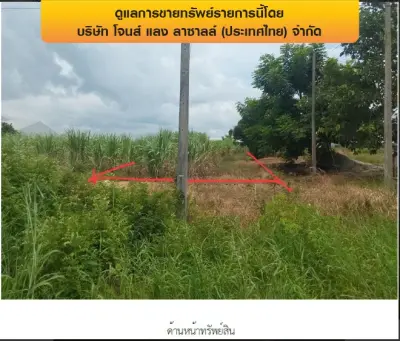 โกดัง พรหมพิราม-พิษณุโลก รูปที่ 2